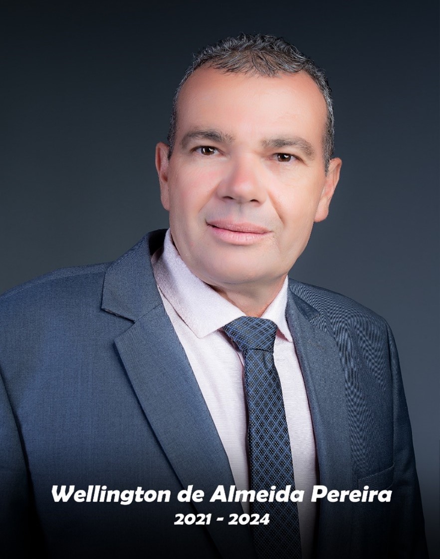 Wellington de Almeida Pereira